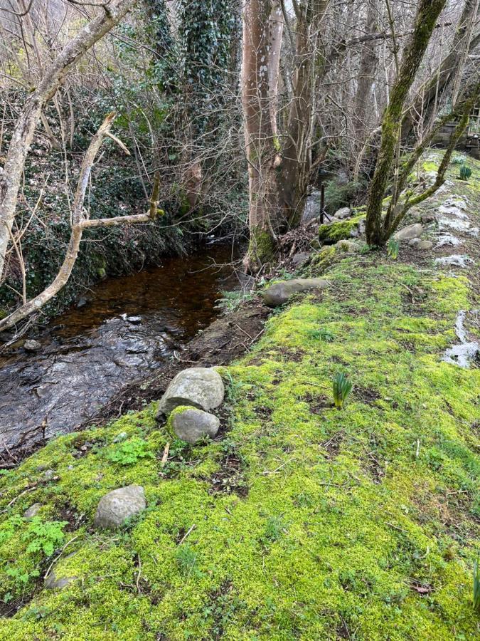 River House Birnam Exteriör bild